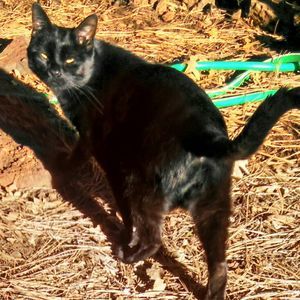 Meet your Posher, Dana